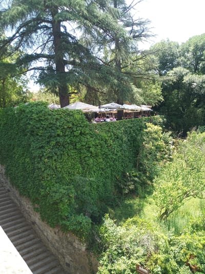 The image shows a verdant, upscale outdoor seating area with white umbrellas, likely a restaurant or cafe, situated on a terrace behind a thick, ivy-covered wall. The terrace is populated by several individuals seated at tables. Below the terrace, a stone staircase descends along a rock wall overgrown with vegetation. The scene is bathed in bright sunlight, suggesting a clear, warm day. The abundant greenery, including large trees and dense foliage, creates a natural and secluded atmosphere. This location is identified as the courtyard of the "Pont Vell" in Besalú, Spain.