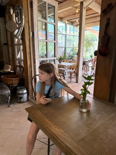 A young Caucasian girl with long brown hair is sitting at a wooden table in an outdoor cafe. She is wearing a light blue t-shirt and dark shorts. She is holding a smartphone in her right hand and looking off to her left. A small glass vase with a green plant is on the table in front of her. In the background, there are other tables and chairs, as well as potted plants and trees. The cafe appears to be rustic and open-air, with wooden beams and a thatched roof. The floor is made of stone tiles. To the left of the girl, there is a vintage fan, a woven basket, and some decorative items hanging on the wall, including a brass instrument and two small drums. Further left, a large wooden door with glass panels is open, revealing more of the cafe's interior and outdoor seating area. To the right, a small decorative violin is hanging on a wooden post. The overall impression is of a relaxed, casual dining environment. There is no indication that this scene is in Semogorskiy, Russia.