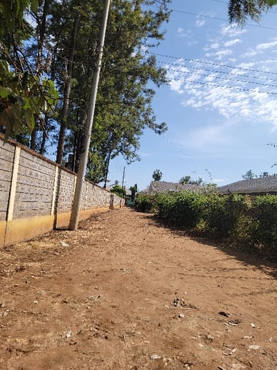 The image depicts an outdoor scene in what appears to be a rural or semi-urban environment in Wang'uru, Kenya, under a bright daytime sky. The perspective is looking down a slightly elevated, unpaved dirt path or road that stretches into the distance on the right side of the frame. The path is a reddish-brown color, with varying textures and some small debris scattered across its surface.

To the left of the dirt path, there is a low fence or wall structure, possibly made of light-colored wooden planks arranged horizontally, supported by vertical posts, and potentially a concrete or stone base. Beyond this fence, dense green foliage and trees with leafy branches fill the left side of the image, obscuring parts of the view. Above the trees, utility lines, likely power lines or communication cables, are visible crisscrossing against the sky.

The sky is a clear, vibrant blue with scattered white cumulus clouds, indicating fair weather. In the far distance, beyond the continuous line of green bushes and trees bordering the path on the right, there might be structures or buildings, but they are largely indistinct due to distance and partial obstruction by vegetation. No people or specific activities are present in the image, making it a static landscape view. There is no visible text in the scene.