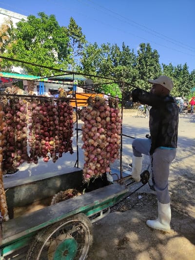 The image depicts an outdoor market or street vendor scene in Ciego de Ávila, Cuba, under clear daylight. In the foreground, multiple long braids of red and pale-colored onions hang suspended from a black metal frame. This frame is mounted on a green, two-wheeled cart with a visible spoked wheel in the lower left. To the right of the cart, an adult male stands, viewed from the mid-thigh up in a right-side profile. He wears a light-colored baseball cap with a dark logo, a dark long-sleeved jacket, grey trousers, and white knee-high rubber boots. His right foot is elevated and rests on the side structure of the green cart, while his right hand grips a horizontal bar of the onion display frame. The background features dense green trees, a white building on the far left, and a structure with blue and white sections. A dirt or paved road recedes into the distance on the right, where other individuals, bicycles, and a yellow awning are visible. The sky is clear blue with several power lines traversing horizontally.