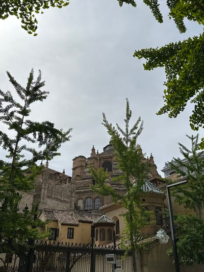 This media file presents an upward-looking view of a grand historical building, framed by tree branches, under an overcast sky. The image is oriented with the building stretching vertically along the right side and the sky predominantly on the left.
The primary subject is an ornate stone building, likely a cathedral or a significant historic complex, characterized by intricate carvings, multiple arched windows, and distinctive roof tiles. Parts of the roof feature a unique greenish-blue patterned tile, while other sections exhibit reddish-brown, more traditional terracotta-style tiling. Adjoining the main structure, particularly towards the bottom right, is a smaller, lighter-colored building. A dark, ornate wrought-iron fence or gate partially obscures the foreground on the bottom right.
Lush green foliage from trees, featuring small, fan-shaped leaves resembling those of a Ginkgo biloba, frames the view, extending into the image from the top, bottom, and scattered along the left. These branches partially obscure parts of the building and the sky.
The sky, occupying a large portion of the left and central frame, is a soft, light gray, indicating an overcast or cloudy day. There are no strong shadows, suggesting diffused lighting and an absence of direct sunlight.
No specific activity or event is depicted, and no people are visible. The architectural style strongly suggests a historical European setting, consistent with the location context of Granada, Spain. No visible text is present in the image.