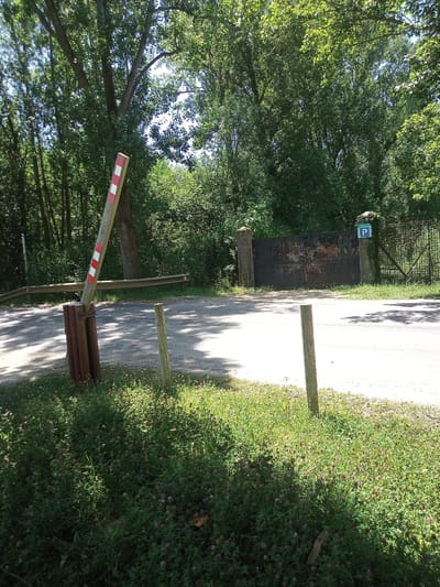 This image depicts an outdoor scene in a rural or park-like setting, likely during daytime. The foreground features a road or pathway curving to the left, bordered by lush green grass and clover with small purple flowers. Two wooden posts stand at the edge of the road.

In the middle ground, a barrier gate made of wood and metal is positioned on the left side of the road, angled upwards. It has red and white reflective markings. Further back, a large, imposing, rusty metal gate is set between two stone pillars, partially obscured by overgrown vegetation. To the right of this gate, a wire fence extends into the background. A small blue sign with a white "P" is visible on the right pillar of the metal gate, indicating parking.

The background is dominated by dense trees with green foliage, suggesting a wooded area. The sunlight filters through the leaves, creating dappled shadows on the road and grass. The overall impression is one of a quiet, possibly private entrance to a natural area. The presence of the parking sign implies it's an accessible location for visitors. The scene evokes a sense of summer, given the vibrant green vegetation and bright daylight. No people are visible in the image.