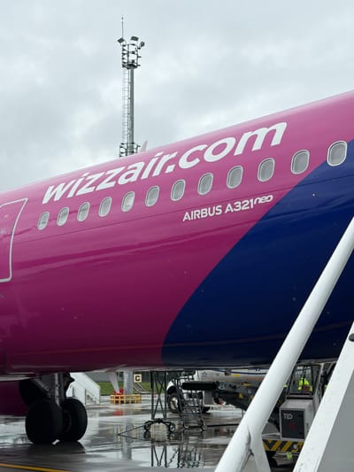 The image depicts the side of a Wizzair Airbus A321neo aircraft, primarily showing its pink and blue livery with the airline's name and logo. A passenger boarding bridge is attached to the aircraft, along with ground service equipment, including a TLD 210 unit and a tow bar. The ground is wet, suggesting recent rain, and the lighting is overcast. An antenna tower is visible in the background. The location is Ianeti, Georgia.