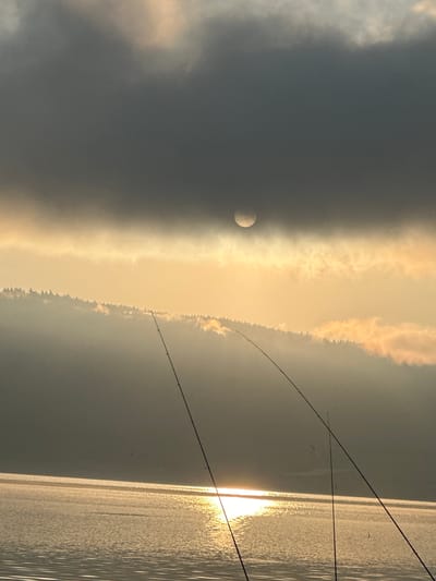 The image depicts a serene dawn or dusk scene at the Batak Reservoir in Batak, Bulgaria. A body of water occupies the lower portion of the frame, reflecting the golden light of the sun. The sun itself is partially obscured by dark, heavy clouds, creating a dramatic contrast with the illuminated sky. In the middle ground, a dense line of trees, likely coniferous, forms a silhouette against the hazy horizon, with patches of light breaking through the fog. In the foreground, three fishing rods are visible, angled towards the water, suggesting the presence of anglers, though no individuals are directly depicted. The overall atmosphere is tranquil and atmospheric, characterized by soft light and subdued colors.
