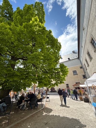 The image shows an outdoor scene in Častá, Slovakia. A large tree with green leaves dominates the left side of the frame, partially obscuring a blue sky with scattered clouds. Buildings surround the open area, including a light-colored building with windows. People are gathered in the open area, some browsing at market stalls covered by white canopies, and others are seated in rows of chairs. Some people are standing in line. The ground appears to be a light-colored stone or gravel. Shadows cast by the tree and buildings fall across the scene.