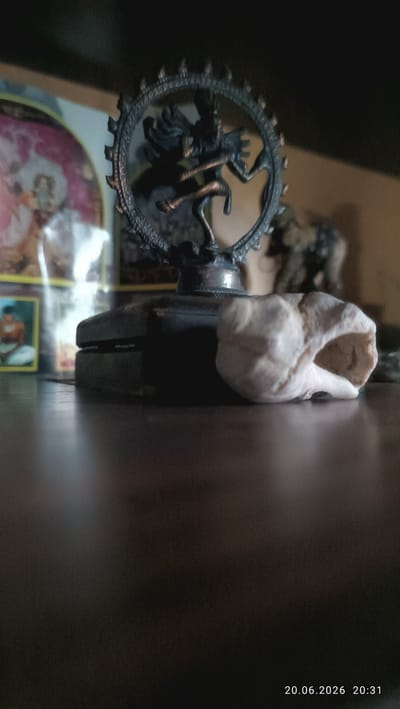 The image displays a close-up view of a dark wooden surface, likely a table or shelf. On this surface, several objects are present. To the left, partially visible, is a framed picture or print, possibly of religious figures. In the center, a dark, ornate statue, appearing to be of Shiva dancing within a circular halo, stands on a dark rectangular base. To the right of the base, a light-colored, irregularly shaped object, which resembles a seashell or a piece of porous rock, is positioned. The background is dark and out of focus, suggesting an indoor environment. A timestamp "20.06.2026 20:31" is visible in the lower right corner, indicating the date and time the image was captured. The scene appears to be a still life arrangement of decorative objects. There is no discernible connection to the city of Apatity, Russia, based on the visual information provided.