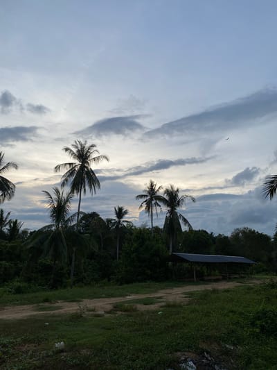 The image depicts a view of the sky with dramatic, striated clouds above a tropical landscape. There are several coconut palm trees silhouetted against the bright sky. In the upper right, there is an open-sided structure with a roof. A dirt path runs along the right edge of the frame, bordered by lush vegetation. The image appears to be taken in a location near Seuneubok Teungoh, Indonesia. A bird is visible in the sky in the top left.