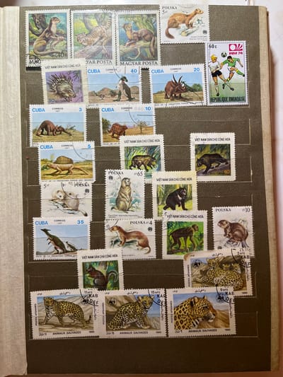This media file is a photograph of a stamp album page filled with a collection of postage stamps. The stamps depict various animals and historical scenes. There are also stamps featuring sports imagery, specifically soccer players.
The subjects on the stamps include:
* **Animals:** Leopards, a beaver-like animal, a porcupine, a lynx, a bear, a pangolin, a carnivorous mammal, and several dinosaur-like creatures.
* **People:** Two soccer players are depicted on one stamp.
* **Scenes:** Some stamps show natural landscapes, possibly prehistoric settings given the presence of dinosaurs.
The setting is an album page, indicated by the perforated edges and the layout of the stamps within pockets. The album itself is laid on a textured surface, likely a table or desk.
There are no explicit clues about the time of day or weather, as the image is focused on the stamps. The location context provided (Kramatorsk, Ukraine) refers to the setting where the photo was taken, not the content of the stamps themselves.
Notable details include the diverse origins of the stamps, indicated by the text:
* **VIỆT NAM DÂN CHỦ CỘNG HÒA** (Democratic Republic of Vietnam)
* **POLSKA** (Poland)
* **CUBA**
* **MAGYAR POSTA** (Hungary)
* **REPUBLIQUE RWANDAISE** (Rwandan Republic)
* **POSTES AFGHANES** (Afghanistan)
The stamps feature monetary values such as 60c, 20, 40, 5zł, zł 65, 3, 5, 35, zł 10, 11 AFS, 9 AFS, 15 AFS, and 2 AFS. Dates like 1987 and 1985 are visible on some stamps. Many stamps also contain the WWF (World Wildlife Fund) logo. The overall impression is that of a philatelic collection with a focus on wildlife and history.