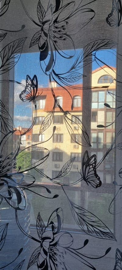 The image shows a close-up view of a sheer, gray curtain with a black floral and butterfly pattern. The curtain is hanging in front of a window, and through the semi-transparent fabric, the reflection of buildings is visible. The buildings appear to be in an urban setting, with multiple stories and windows. The architecture suggests a European style, with a mix of brick and painted facades in colors like orange, yellow, and blue. Sunlight is streaming through the window, casting shadows and highlighting the textures of both the curtain and the buildings. The time of day appears to be late afternoon or early evening, judging by the warm, directional light. There are no people or specific activities depicted in the scene; it is a still-life composition focusing on the interplay of light, fabric, and the urban backdrop. The location context is Romashkovo, Russia, but there are no specific visual cues in the image to confirm this location beyond what might be inferred from the architectural style. The overall mood is peaceful and somewhat abstract due to the layering of the curtain pattern over the building view.