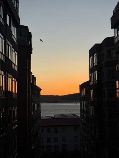 An aerial view of the city of Vigo, Spain, during a sunset. The sky is a gradient of soft blues and oranges, with a few buildings silhouetted against the vibrant colors. The buildings are modern, with large windows reflecting the warm hues of the sky. In the distance, a body of water is visible, likely the Ria de Vigo, with a low-lying hill forming the horizon. A lone seagull is captured mid-flight, soaring through the dusky sky. The foreground is dominated by the dark silhouettes of apartment buildings, framing the view of the sunset over the water. The overall impression is one of urban tranquility as day transitions to night.