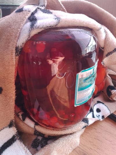 A large glass jar filled with a red liquid and red fruit is partially wrapped in a fluffy, beige blanket with a black and white panda pattern. The jar is on a wooden surface, possibly a table or windowsill. The red liquid appears to be some kind of preserved fruit or beverage. Reflections are visible on the glass jar, including what appears to be a person holding a phone. A label with text and a barcode is affixed to the jar. The blanket is draped around the jar, covering a significant portion of it. The overall scene suggests an indoor setting, possibly a kitchen or living area. The location is identified as Kranokholmskiy, Russia.