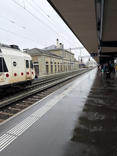 This image depicts a railway station platform on an overcast, wet day at Fribourg - Freiburg, Switzerland. The foreground features a dark grey, wet asphalt platform reflecting the sky and overhead structures, with several sections of white tactile paving strips running parallel to the tracks. An overhead canopy, grey on its underside, extends from the right, providing shelter.

On the tracks to the left, a white train, identified by "rer" branding and red circular decals on its side, is stopped on the leftmost track. The train shows signs of dirt or wear. Two sets of railway tracks with gravel ballast and wooden sleepers run parallel, curving slightly into the distance.

Beyond the tracks, to the mid-left, stands a historic-looking, multi-story station building constructed of light beige stone or stucco, featuring arched windows, a clock on its facade, and dark-tiled pitched roofs with chimneys and dormers. This building is identified as Platform 1.

In the background, to the right, a group of approximately 10-15 individuals, some holding umbrellas, are standing on the wet platform under the canopy, facing generally away from the camera. They appear to be passengers waiting for a train. A blue sign indicating "2 D" for platform sections is visible above them. Overhead power lines (catenary) and signal gantries stretch across the tracks in the distance.