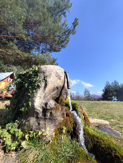 The image displays an outdoor scene in Маруцековци, Bulgaria, under a clear blue sky with scattered white clouds. In the foreground, a large, light-colored rock functions as a water source. A dark pipe extends from the upper-center of the rock, emitting a continuous stream of clear water that flows downwards. The lower part of the rock and the surrounding ground are covered in dense green and brown moss, interspersed with green grass, over which the water cascades. Green ivy partially covers the left side of the rock. To the far left, behind the rock, a fragment of a rustic wooden structure, featuring reddish-brown and blue elements, is visible. The upper-left quadrant of the frame is dominated by the green needles and brown branches of a large pine tree. In the background, a wide expanse of green grass slopes gently upwards towards a distant treeline. Two individuals are observed seated or reclining on this distant grassy slope; one is wearing blue apparel, and the other appears to be in lighter clothing. Faint hills are visible on the horizon. The scene is brightly illuminated by natural sunlight.