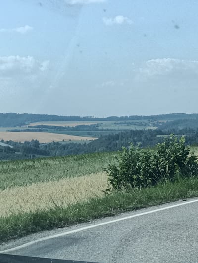 This media file depicts a rural landscape scene in Šternov, Czechia. The foreground features a paved road with a white line marking its edge, bordered by green grass and a field of what appears to be ripening wheat or barley. Beyond this, a dense green forest blankets rolling hills. Further in the distance, the landscape opens up to reveal rolling fields of light brown, possibly harvested crops, interspersed with more dark green trees. The sky is a hazy, light blue with scattered white clouds, suggesting a daytime scene with potentially overcast or diffused sunlight. There are no people or specific objects visible, only the natural elements of the landscape. The overall impression is one of a serene, agricultural countryside under a bright sky. The image quality is slightly grainy, suggesting it was taken with a mobile device or under less than ideal lighting conditions.