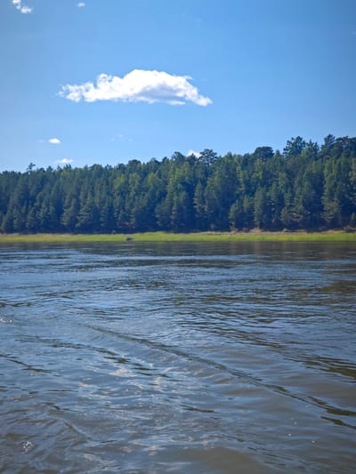 A wide, dark blue river flows towards the viewer, its surface rippling with gentle waves. The far bank of the river is lined with a dense forest of tall, green pine trees, their tops forming an even line against a bright blue sky. A single, fluffy white cloud floats in the upper portion of the sky. The scene appears to be captured from a boat, as evidenced by the disturbed water in the foreground. The location is Krutoy Log, Russia. There are no people or animals visible in the image.