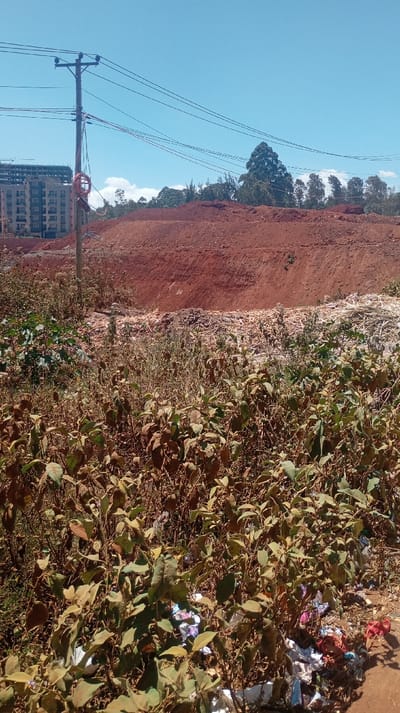 A landscape shot depicts a construction site. Red soil forms a backdrop with some trees. Below it, there is a messy layer of dry reeds. In the foreground, vegetation is overgrown and dry. Litter is scattered among the bushes. A tall building is seen on the left side. Overhead power lines are stretched across a clear blue sky.