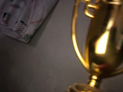 The media file displays a close-up, somewhat abstract composition featuring a blurred, reflective golden object in the foreground, occupying the left and central portions of the frame. This object exhibits strong highlights, indicating a metallic and polished surface, with discernible curved shapes. Its specific form is indistinct due to motion blur or shallow depth of field, but it appears to be a decorative item or part of a larger structure, possibly a trophy or figurine.
The background directly behind the golden object is a plain, dark gray or charcoal-colored surface, lacking distinct features. To the bottom right of the image, a piece of white fabric is visible. This fabric features a repeating pattern of small, pixelated dots or squares in green and reddish-brown hues, arranged in diagonal lines. Part of the fabric bears the word "TECHO" in dark lettering. The overall lighting conditions are dim, contributing to the soft focus and slightly muted tones of the scene. No discernible activity or event is taking place; the image captures a static arrangement of objects. There are no direct visual cues within the image to suggest the specific location of Letnitsa, Bulgaria.