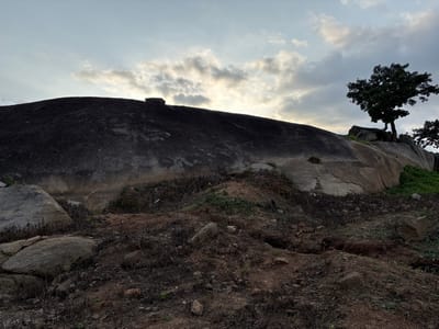 This image depicts an outdoor scene featuring a large, dark rock formation that dominates the lower half of the frame. The rock has a smooth, polished appearance in some areas and a rougher texture in others, with visible cracks and fissures. A lone tree with dense green foliage stands on the left side of the frame, its branches reaching upwards towards the rock. The tree appears to be growing from the top of a smaller rocky outcrop.
The upper portion of the image shows a barren, earthy landscape with scattered rocks, dry grass, and sparse vegetation. The ground appears uneven and somewhat eroded.
The sky above is partly cloudy, with large, soft clouds illuminated by sunlight. The light suggests it is either early morning or late afternoon. The overall mood of the image is one of natural grandeur and quiet solitude. No people or text are visible. The location context provided is Bwari, Nigeria.