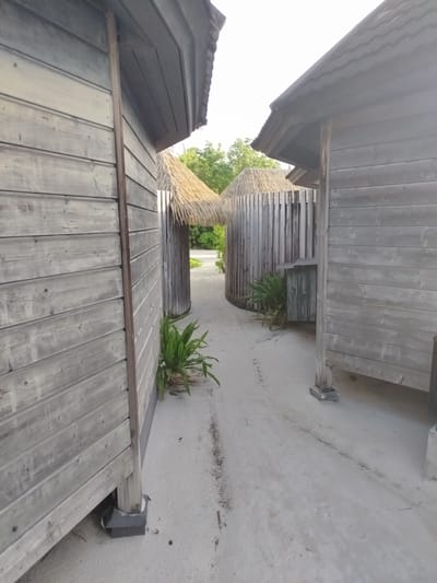 The image depicts a pathway between two rustic wooden structures with thatched roofs, typical of the architecture found in tourist resorts in the Maldives, such as those in Hinnavaru. The buildings are constructed with weathered grey wooden planks. The pathway itself is made of sand and appears to be a walkway within a resort setting. Lush green tropical plants are visible in planters or growing near the structures. In the background, more of these thatched-roof structures and dense green foliage suggest a tropical island environment. The lighting indicates it is daytime, possibly late afternoon, with a bright sky. The scene conveys a sense of tranquility and a tropical vacation atmosphere.