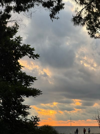 The media file depicts a scene at Stalinisubani, Georgia, likely during sunset. The sky is filled with dramatic clouds, with patches of bright orange and yellow indicating the setting sun. These colors are reflected on the surface of a body of water, possibly a sea or large lake.
In the foreground, silhouetted trees frame the sky and water. The foliage is dark and dense, creating a stark contrast with the illuminated sky. Some bare branches are also visible, adding to the natural and somewhat wild aesthetic of the scene.
Along the shoreline, three figures are visible as dark silhouettes against the bright horizon. They appear to be standing and observing the sunset. One figure is closer to the water's edge, while the other two are slightly further back. A tall, slender object, possibly a pole or a thin structure, stands upright in the water near the shore.
The overall mood of the image is serene and contemplative, with the vibrant colors of the sunset suggesting a peaceful end to the day. The presence of people and the natural landscape create a sense of a tranquil outdoor setting. There is no visible text in the media file.