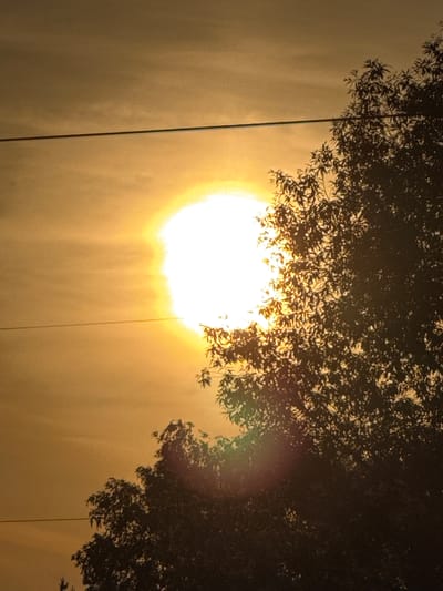 The image depicts an outdoor scene at either sunrise or sunset in the city of Подчерково, Russia. A large, intensely bright, and overexposed sun is positioned in the upper center-left, emitting a strong white and yellow light and exhibiting a prominent lens flare artifact in its lower right quadrant. The sky is characterized by a warm, golden-orange to yellow gradient, with faint, diffuse cloud formations visible horizontally across the frame. The silhouette of a dense deciduous tree canopy occupies the right side and lower portions of the image, with dark branches and distinct leaf patterns visible against the illuminated sky. A thin, dark, horizontal utility wire traverses the upper-middle section of the image, passing directly over the upper edge of the sun. No people, animals, or other distinct man-made structures are present within the frame beyond the utility wire.