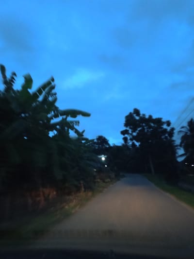 The image depicts a road in Blangrheuem, Indonesia, at dusk or night. The road stretches into the distance, flanked by dense vegetation on both sides, including banana trees on the left. The sky is a deep blue color with visible cloud cover. A light source, possibly a streetlight, is visible further down the road. The image is somewhat blurry, suggesting motion or a low-light environment.