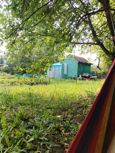 This image depicts a backyard scene in Novoomsky, Russia, during daylight. In the foreground, a portion of a colorful striped hammock is visible on the right. The middle ground features a lush, overgrown lawn with various weeds and plants. Beyond the lawn, a small, weathered turquoise shed with a rusty corrugated metal roof stands prominently. To the left of the shed, a structure with a blue tarp or tent is partially visible. A wooden fence runs behind the shed, and more greenery and trees fill the background. The overall impression is one of a rustic, slightly unkempt, but lived-in outdoor space.