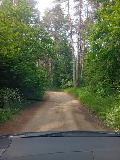 This media file shows a view from inside a car as it travels down a dirt road through a dense, green forest. The road curves gently to the right and appears to be well-worn. Tall trees, predominantly pines and deciduous trees with lush green foliage, line both sides of the road, creating a canopy overhead. Sunlight filters through the leaves, casting dappled shadows on the road and the surrounding vegetation. The undergrowth is thick with grass and small white wildflowers. The sky is bright, suggesting it is daytime, likely late morning or early afternoon. The weather appears to be fair and possibly warm, as indicated by the vibrant green of the leaves. There are no people or animals visible in the frame. The dashboard of the car is visible in the foreground, along with the windshield wipers, indicating the car is in motion. The overall impression is one of a peaceful drive through a natural, wooded landscape in Svilė, Lithuania.