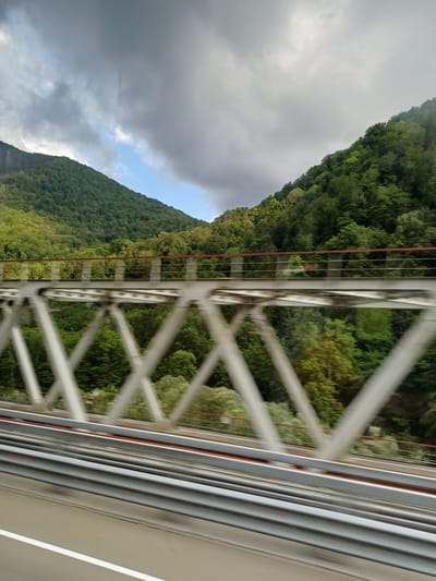 The image is a photograph taken from a moving vehicle, likely a train, as it crosses a bridge. The perspective is tilted, giving the viewer a sense of motion. The main subjects are the lush green, tree-covered slopes of a mountainside on the left, partially obscured by a section of the bridge's white metal structure. The bridge itself is a prominent object, with its intricate lattice of white beams and horizontal railings stretching diagonally across the frame.

The scene is set in a natural environment, with the dense foliage suggesting a mountainous or hilly region. The sky on the left is filled with dramatic, dark grey clouds, but there is a patch of bright blue sky visible near the center, indicating a dynamic weather situation, possibly a mix of sun and impending rain. The time of day appears to be daytime, given the brightness of the light.

Notable details include the texture of the bridge's metalwork and the varied shades of green in the trees, suggesting different types of vegetation or varying sunlight. The blur from the movement of the vehicle is evident, especially in the background foliage and sky, reinforcing the sense of travel. There is no visible text in the image. The overall mood is one of travel through a scenic, natural landscape, with a hint of dramatic weather.