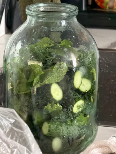 A large glass jar filled with sliced cucumbers, dill, and mint is positioned on a countertop. The jar is condensation-covered, indicating a cool or humid environment. A white plastic bag is visible in the lower left corner, and a beige towel is present in the lower right. The background is blurred but appears to be a domestic setting, possibly a kitchen, with hints of other objects and surfaces. The specific location in Novoalexandrovka, Russia, cannot be determined from the visual information provided.