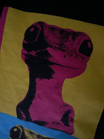 A close-up, overhead, slightly tilted shot shows a graphic design on a fabric surface. The design features a cartoonish, pink creature with large black eyes and a small mouth on a yellow background. The creature's body tapers down to a narrow neck. A blue stripe runs horizontally across the bottom of the frame, and a portion of another graphic, possibly a part of a lizard or similar creature, in black and yellow is visible at the bottom left. The fabric has a visible texture. The location in Tczew, Poland is not discernible from the image.