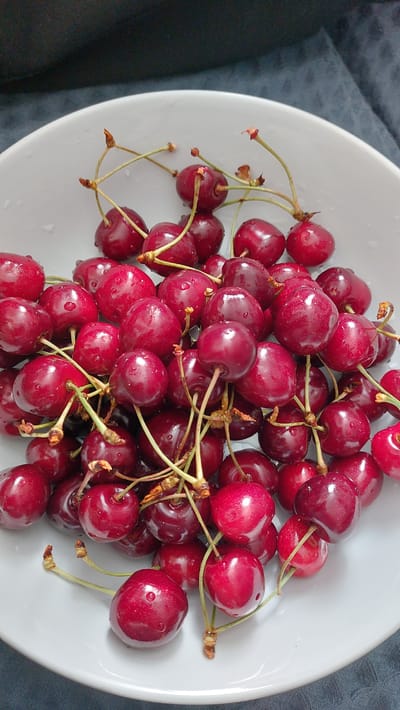 A close-up shot shows a white bowl filled with fresh, dark red cherries. The cherries are plump and glistening with water droplets. Most of them have their stems attached, which are thin and green. The bowl is positioned on a dark, textured surface, possibly fabric. The lighting highlights the sheen of the cherries and the smooth interior of the bowl. There are no people or animals present in the image. The scene is static and focused entirely on the fruit. The specific location in Novocherkassk, Russia, cannot be determined from the visual information provided.