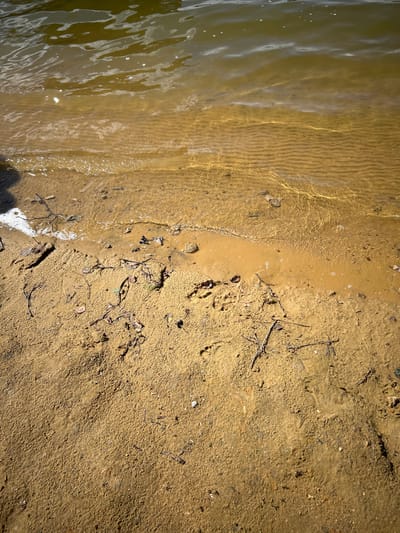 The image shows a sandy shoreline with shallow, murky water. The sand is a light brown color and appears damp near the water's edge. Small pebbles, twigs, and dried leaves are scattered on the sand. The water is a greenish-brown color with visible ripples and a few small bubbles near the shore. There are no people or animals visible in the image. The scene is likely a natural body of water such as a lake or river. The location in the city of Юбилейный, Russia is not evident from the image itself.