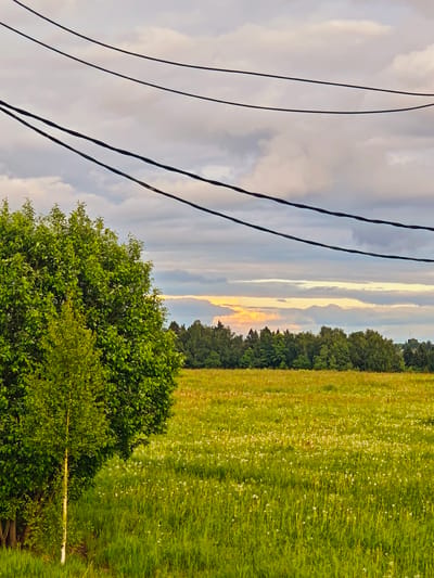 The image depicts a rural scene in Курово, Russia. A green field dotted with white wildflowers stretches into the distance, bordered by a line of trees. A large, leafy tree is present in the foreground on the left. Overhead, power lines cut across the sky, which is filled with clouds. There are no people visible in the frame.