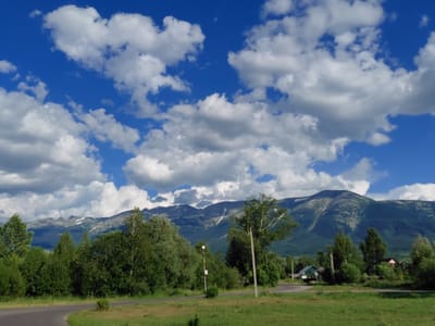 This is a landscape photograph taken in the city of Ridder, Kazakhstan. The scene features a majestic mountain range in the background, with snow-capped peaks visible against a bright blue sky dotted with fluffy white clouds. In the middle ground, a dense forest of green trees stretches across the frame, with some individual trees more prominently featured. A road curves through the foreground, bordered by lush green grass. A small, quaint house with a red roof is nestled amongst the trees, suggesting a rural or semi-rural setting. The overall impression is one of natural beauty and tranquility.
