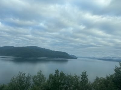 A wide shot shows a scenic view of a body of water, likely a fjord, bordered by a forested mountain range under a cloudy sky. In the foreground, lush green trees line the bottom of the frame. The water reflects the overcast sky, creating a muted and serene atmosphere. In the mid-ground, a few small white boats are visible on the water near the shore of the distant mountains. The mountains themselves are covered in dense vegetation and fade into the distance, with hints of other landforms and possibly snow-capped peaks in the far background. The overall impression is one of natural beauty and tranquility. This image likely depicts a landscape in or near Rognan, Norway, given its characteristic geography of fjords and mountains.