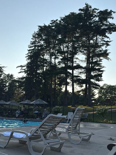 The image depicts an outdoor swimming pool area on a clear day, likely during late afternoon or early evening, with tall evergreen trees forming a backdrop against a pale blue sky. In the foreground, two empty, light-colored lounge chairs with white towels are positioned on a gray concrete surface. Beyond the lounge chairs, the swimming pool is visible, with a few people engaged in activities. One person is in the water, possibly a child wearing a blue swimming aid, while another adult stands near the pool edge. Several tables and chairs are set up under umbrellas near the pool, and some individuals are seated at these tables, including an older person with a cane. A black metal fence encloses the pool area. The overall environment suggests a recreational facility within a suburban or semi-rural setting, potentially a community center or a resort in Middle Smithfield Township, United States of America. The lighting indicates natural sunlight, casting soft shadows.