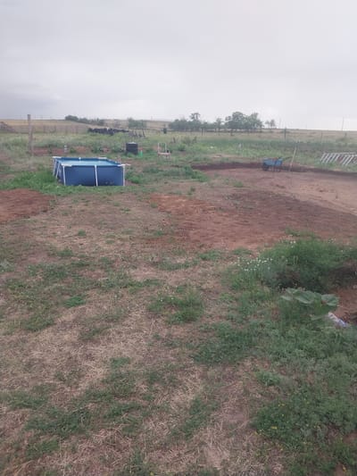 The image depicts an outdoor scene with a focus on a partially constructed or disassembled blue swimming pool in the foreground. The pool is rectangular with a metal frame, and its blue liner is visible. The ground surrounding the pool is a mix of dry, light brown grass and patches of darker soil. In the background, there is a dirt path or road leading upwards. To the left of the path, there are some green plants and trees. Further in the distance, a wooden fence and some indeterminate structures are visible. The sky is overcast and a pale grey, suggesting a cloudy day or possibly early morning or late afternoon. There are no people visible in the image. The overall impression is of a rural or semi-rural setting, possibly a backyard or a construction site for outdoor amenities. The angle of the photograph is from a slightly elevated position, looking down and across the scene.
