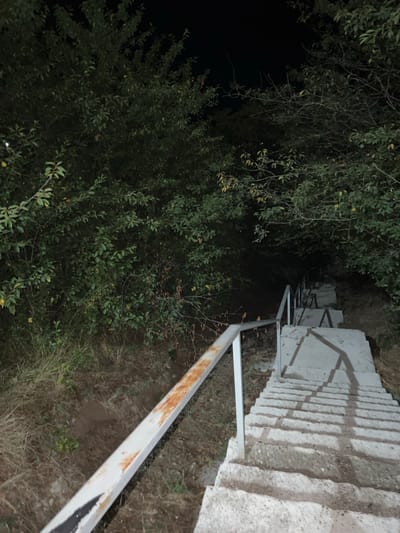 An outdoor concrete staircase descends into darkness, flanked by dense green foliage on the left and trees on the right. A metal handrail, weathered with rust, runs along the left side of the stairs. The scene is dimly lit, suggesting it is nighttime. The location is identified as Golubitskaya, Russia. There are no people or active events depicted.