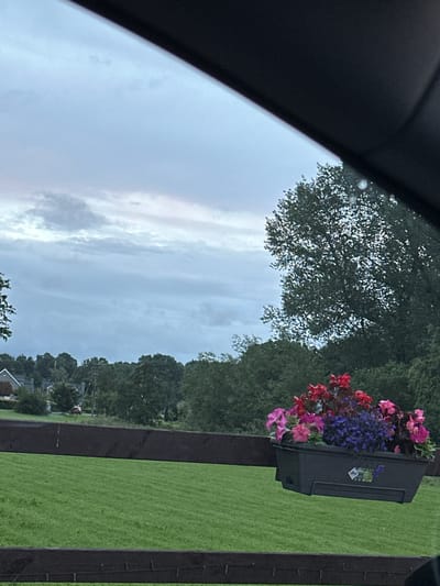 The image shows a view of a rural landscape with a dark brown wooden fence in the foreground. A black planter box filled with colorful flowers, including pink, red, and purple varieties, is attached to the fence. Beyond the fence, a vibrant green grassy field stretches out, leading to a line of trees and houses in the distance. The sky is overcast with a mix of grey and pale pink clouds. The scene appears to be taken from inside a vehicle, as indicated by the dark, curved border in the upper part of the image, likely the car's windshield frame. The location is identified as Rathvilly, Ireland.