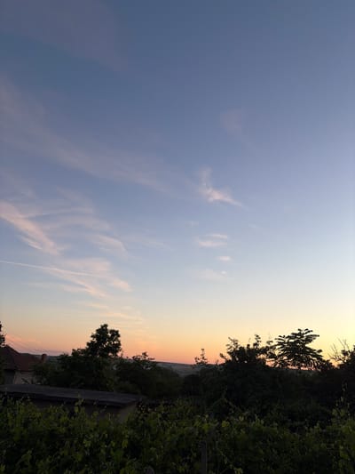 The image depicts a landscape scene at dusk in Kozlovets, Bulgaria. The sky transitions from a clear blue at the top to soft hues of pink and orange near the horizon. Wispy clouds are scattered across the upper portion of the sky, with a faint contrail visible to the left. Silhouetted against the sky are various trees and foliage, forming a dense treeline across the middle ground. In the foreground, there is lush green vegetation, possibly a vineyard, with some stone structures and a building with a tiled roof visible behind it. The overall impression is a serene, rural twilight. There are no people or active events captured in the image.