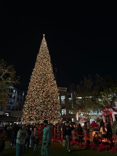 A large Christmas tree, illuminated with numerous white and red lights, stands against a dark night sky. Buildings flank the tree, adorned with lights. A crowd of people gathers near the base of the tree, some standing and some seated on a decorative platform. Poinsettias decorate the platform, adding a festive touch.