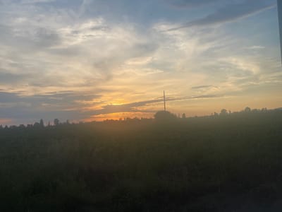 The image depicts a rural landscape at dusk, likely in or near Yana, Bulgaria. A vast, dark field occupies the foreground, with tall grasses and vegetation. A line of trees and shrubs forms a hazy silhouette along the horizon, obscuring distant structures and terrain. In the sky, a gradient of colors transitions from light blue and grey clouds near the top to warmer hues of orange and yellow as they approach the horizon, indicating the setting sun. A lone utility pole with power lines is visible in the mid-ground, standing starkly against the sky. The overall atmosphere is serene and tranquil, with the fading light casting a soft, diffused glow over the scene. No people or animals are present in the image.