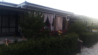 The image depicts a residential property with a modern architectural style, featuring a white roof with brown trim and light-colored exterior walls. Large windows with dark frames are visible on the left side of the building, partially covered by sheer white curtains. Adjacent to these windows, a covered patio area is adorned with light beige curtains that hang from the roofline, providing privacy. A white railing runs along the edge of the patio, suggesting it is elevated or has an open-air section.
In the foreground, a lush green hedge forms a dense border along the front of the property. Amongst the hedge and flowers, there are several rose bushes with vibrant red and yellow blooms. A decorative, multi-colored garden ornament resembling a stork with a planter is positioned on the left side of the frame, near a blue hose.
To the right of the main building, a continuation of the covered patio is visible, also furnished with similar light beige curtains. Further to the right, another section of the property is glimpsed, with more hedging and a large brown trash bin placed near a brick-paved walkway. The overall scene suggests a well-maintained outdoor space.
The sky is overcast, indicating a muted natural light. The scene is static and does not show any people or immediate activity. The presence of manicured hedges, blooming roses, and decorative elements suggests a residential dwelling in a town or village, possibly Choktal, Kyrgyzstan, based on the provided context.