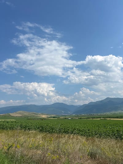 This image depicts a wide-angle landscape view of agricultural fields and distant mountains under a blue sky with scattered cumulus clouds, identified as the area around Isperihovo, Bulgaria. The foreground is dominated by dry, straw-colored grasses and weeds, intermingled with some green foliage and sparse yellow wildflowers. Immediately beyond the foreground, a large, cultivated field of dense, green leafy plants, possibly a crop, extends across the mid-ground. Further back, another field exhibits lighter green and yellowish tones. In the mid-distance, a gently sloped, dry, light brown and green hill is visible, with a single utility pole and associated power lines standing vertically. Beyond the cultivated fields and hills, a distinct range of dark green mountains or large hills forms the horizon. The sky overhead is a vibrant blue, populated by numerous white cumulus clouds of varying sizes and densities, with the upper-left quadrant showing more open blue sky. No people or animals are visible. The scene suggests a clear, sunny day.