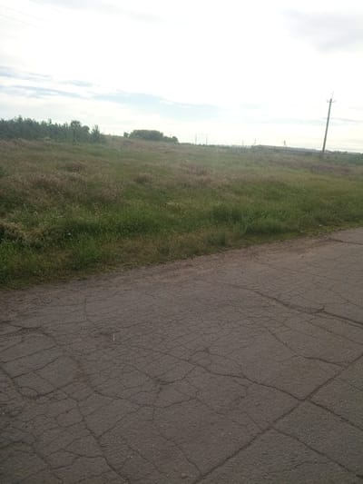 The image depicts a rural landscape in Zelenyi Hai, Ukraine, featuring a cracked asphalt road in the foreground. Beyond the road, a grassy field extends towards a line of trees and vegetation. A utility pole with visible wires stands to the right of the frame, and a low-lying structure, possibly a shed or part of a building, is visible in the distance. The sky is overcast with clouds, indicating diffused daylight. No people or animals are present in the scene.