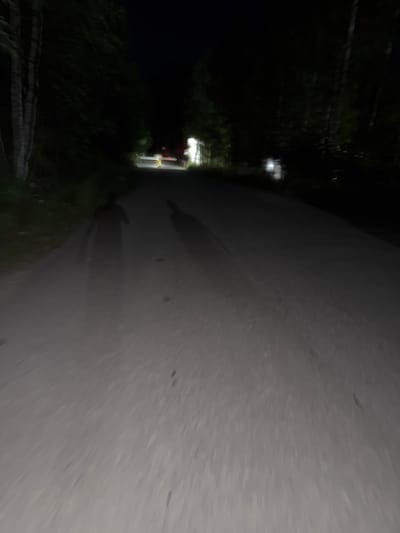 This is a nighttime, low-light photograph of a dirt road in a wooded area, possibly in or near Dom Otdykha Zolotoy Plyazh, Russia. Two faint, elongated human-shaped shadows are cast on the road, suggesting the presence of individuals moving away from the camera. The shadows are distorted, indicating movement or uneven lighting. Trees with visible bark line the left side of the road, and denser foliage forms a dark backdrop on either side. In the distance, faint lights are visible, indicating structures or lighting fixtures. One set of lights appears to be a barrier or gate, possibly illuminated by yellow and red lights. The road surface is granular and appears uneven. The overall impression is one of a solitary or quiet nighttime scene on an unpaved path.