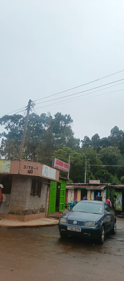 A cloudy day scene shows a dark blue Volkswagen car parked on a wet street. Behind the car are several small shops, one labeled "BITE-S GO" and another "DUKA LA VIDO". Trees fill the background, rising higher than the shops, and power lines stretch across the upper part of the frame. The overall atmosphere is muted due to the overcast sky.