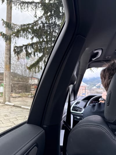 The image depicts an interior view from within a car, oriented to the left. A driver with short, dark hair is visible in the background, seated and holding the steering wheel. The seat on the right, upholstered in dark leather with light stitching, is prominently featured. The interior trim is dark, likely black or dark gray. Outside the car window, a blurred view shows trees, possibly pine trees given their shape, and buildings, indicating an urban or suburban setting. The weather appears overcast or cloudy. The specific location within Lilkovo, Bulgaria, is not discernible from the visual information provided.