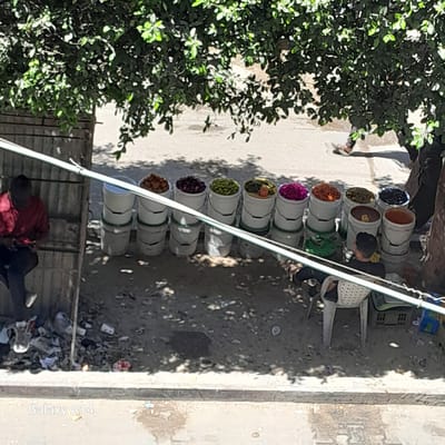 The image depicts an outdoor scene in Deir el-Balah, Palestinian Territories. A person wearing a red shirt and dark pants is seated on a wooden structure, looking at a mobile device. In front of this structure, several white buckets are arranged in two rows, containing various food items such as olives, pickled vegetables, and spices. A second person, wearing a dark shirt, is seated on a white plastic chair to the right of the buckets, facing away from the camera. The ground is covered in dirt and debris. Overhead, a tree casts shadows across the scene. In the background, a paved road is visible, with a person walking in the distance. The bottom of the image shows a concrete curb and a water stain. The text "Galaxy A14" is superimposed on the bottom left corner.